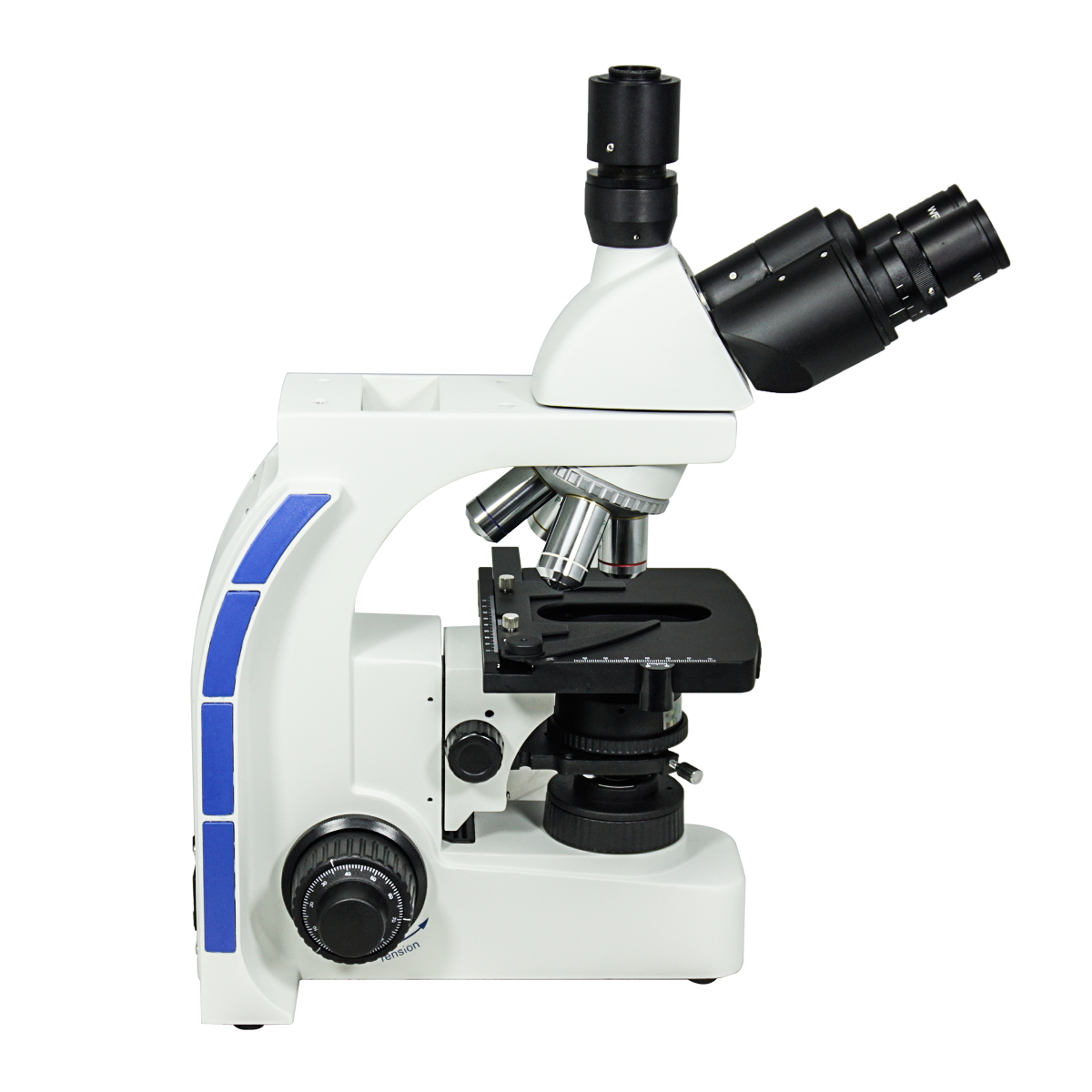Phase Contrast Microscope